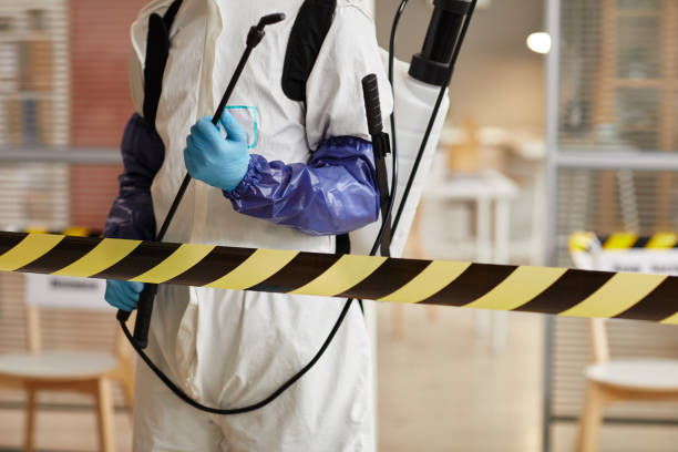 Professional Sewage Cleanup technician working in Hope, AR